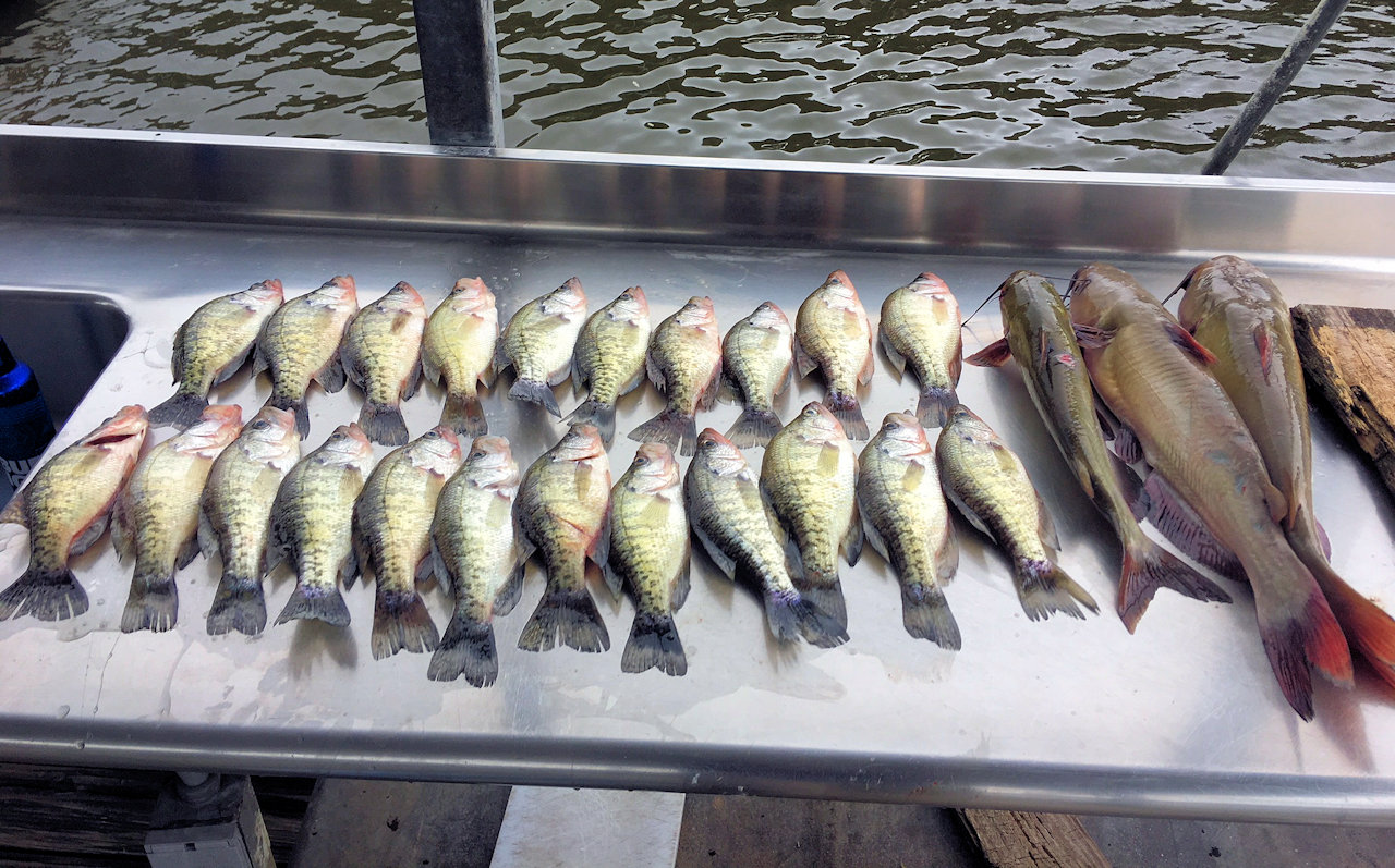 Excellent Fishing Awaits You at Kentucky Lake & Lake Barkley