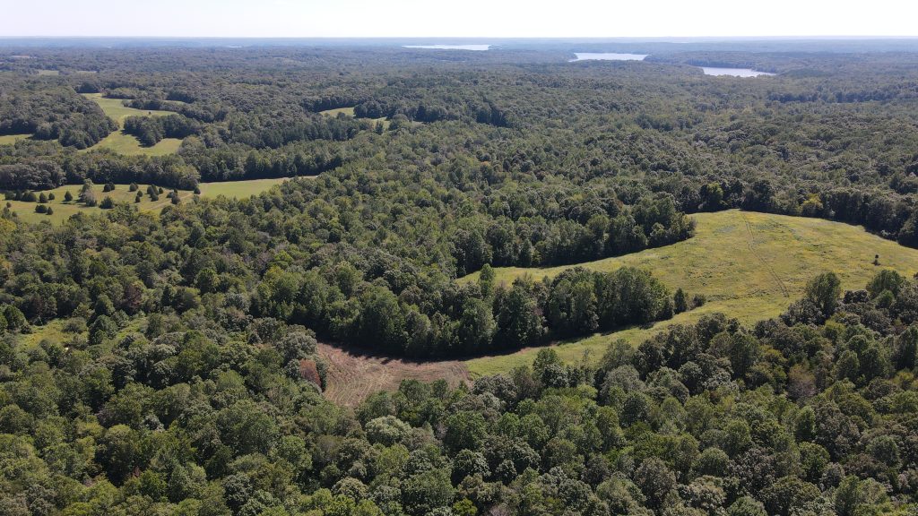 Lake Area Acreage