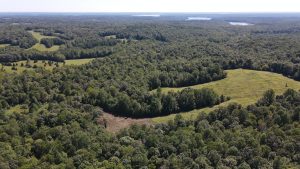 Lake Area Acreage